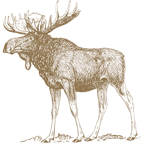 Stylized image of a moose.
